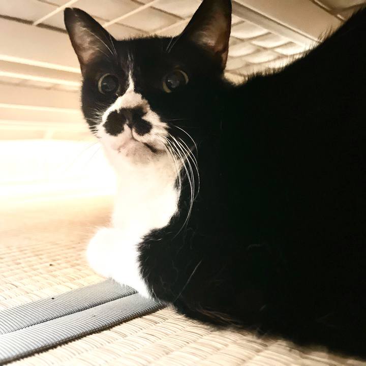 Adb6e12e 079b 4728 a7d3 7e5ec47093bf 1662781848513