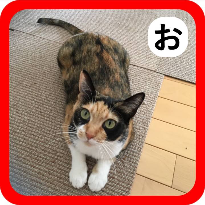 Adb6e529 13f7 4904 b209 4d5ed9775bfb 1515145265210