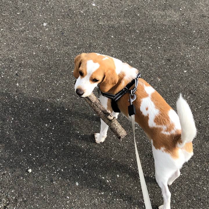 Adb6f730 311e 4dd9 86dc 2489afa3ffcc 1589757435386