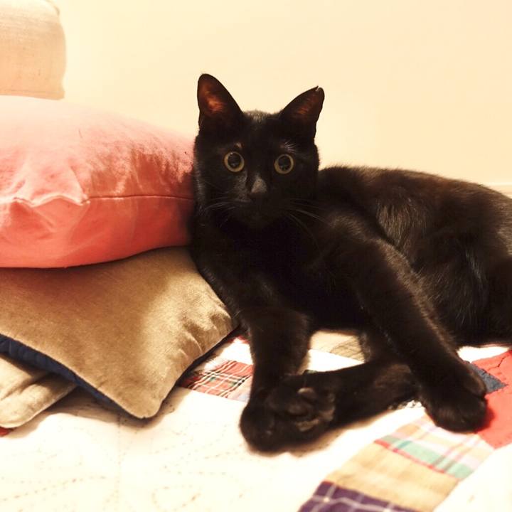 Adb733f9 67cb 4589 a422 de1521f9bcb1 1518361450729