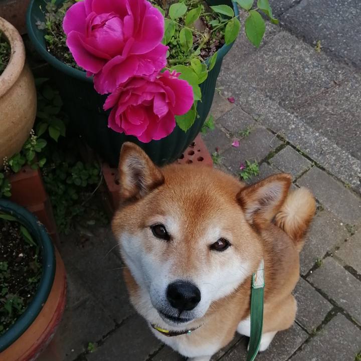 Adb75ff4 a15b 4664 a2a0 759fbb68b3df 1685615499442