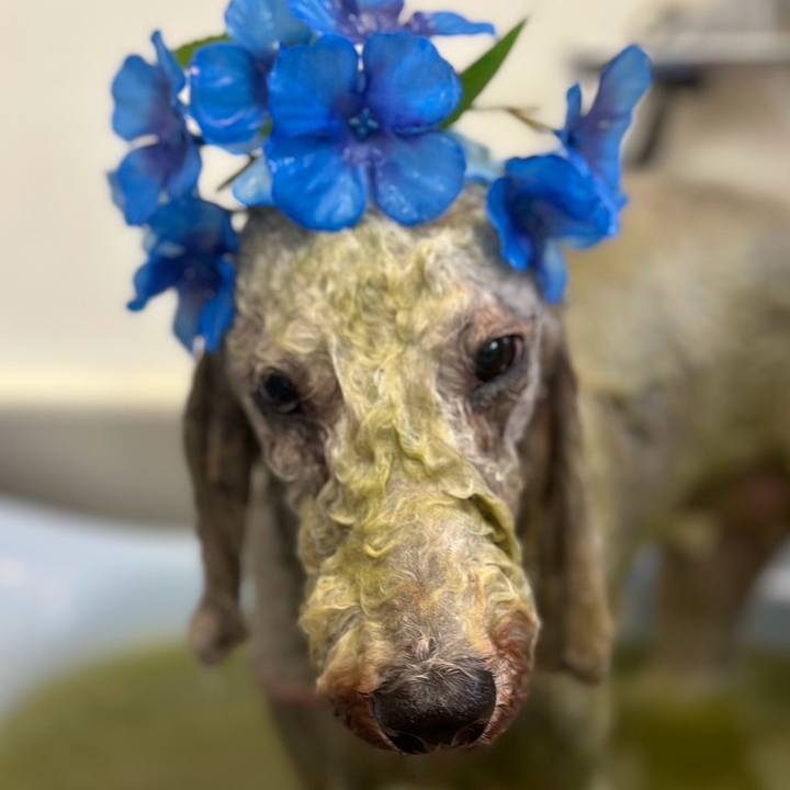 Adb781ac 0626 4ece 86f4 d8e0ebf6c948 1729506797435