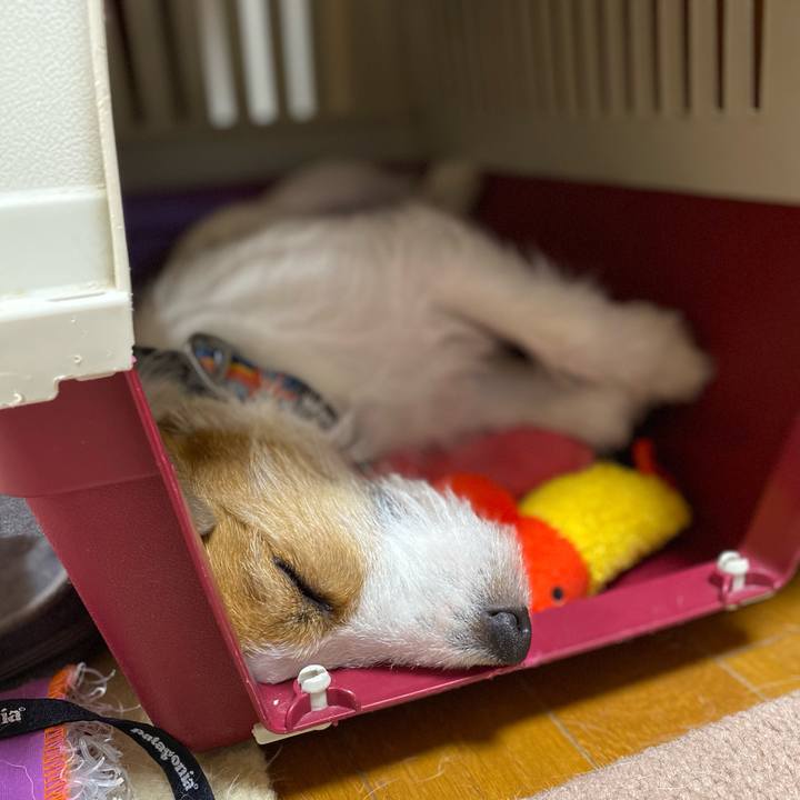 Adb79e75 1554 463f 8c03 ece2445c0e95 1705328624585