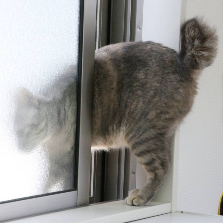 Adb7af7c 7c53 41e3 9e2c b120512bfc3f 1522026517480