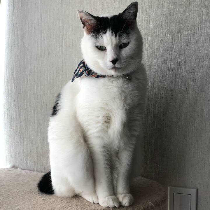 Adb7b01d d5e1 4258 8a5b 4beed4e48f21 1578195437972