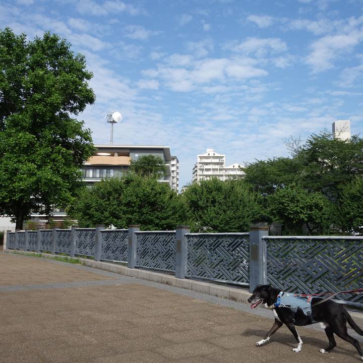 Adb7cb81 c6c8 4dc2 ba04 5f8daab116da 1749262432919