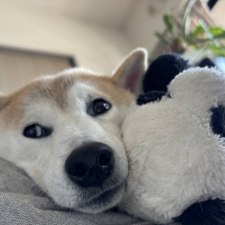 Adb7f8f3 94ab 4d15 998e 97ef7de4f6f7 1730844735756