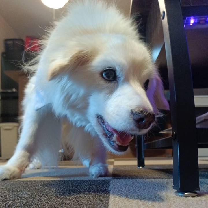 Adb7ff59 eb10 4d5d 9a25 6c0daf99d76f 1756764295263