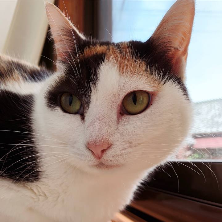 Adb8079d e0b2 4ec4 a491 2839977ba845 1557191545617