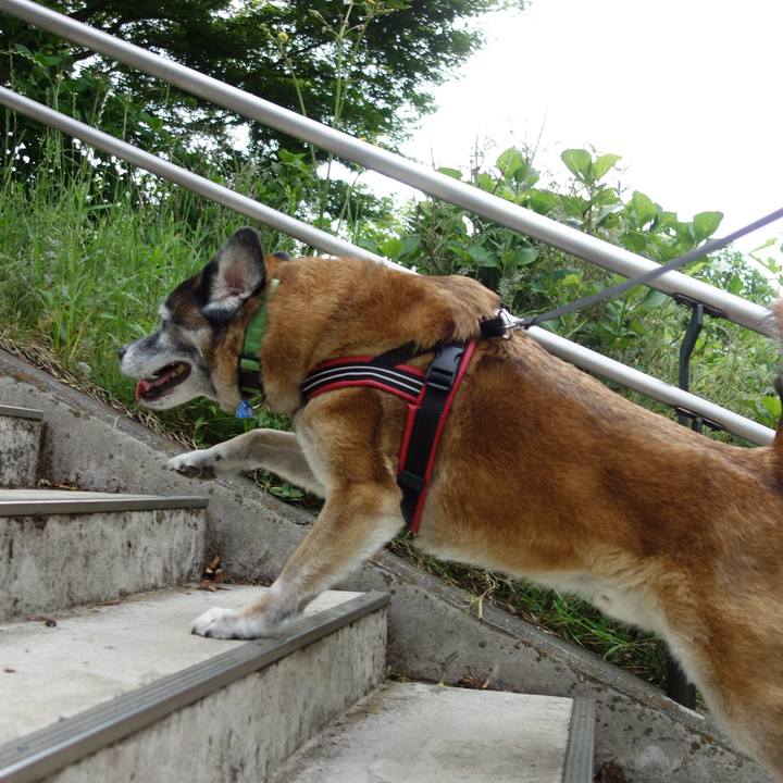 Adb808db d891 4ffb aadf 25733f0f00dc 1557366130488