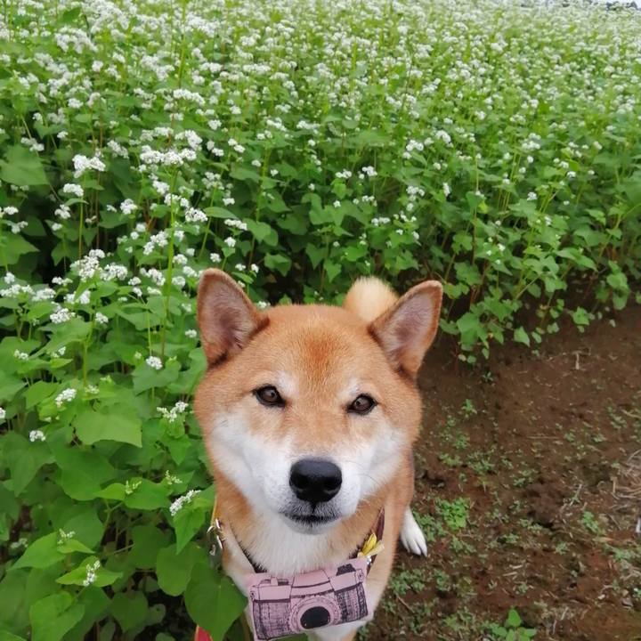 Adb865e3 0e4b 413a 88cc 14de057e760a 1600930287855