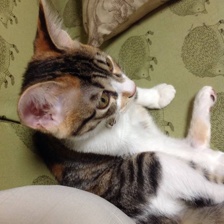 Adb89927 7bdf 49bd 98f9 7c0d373aaf67 1628908012818