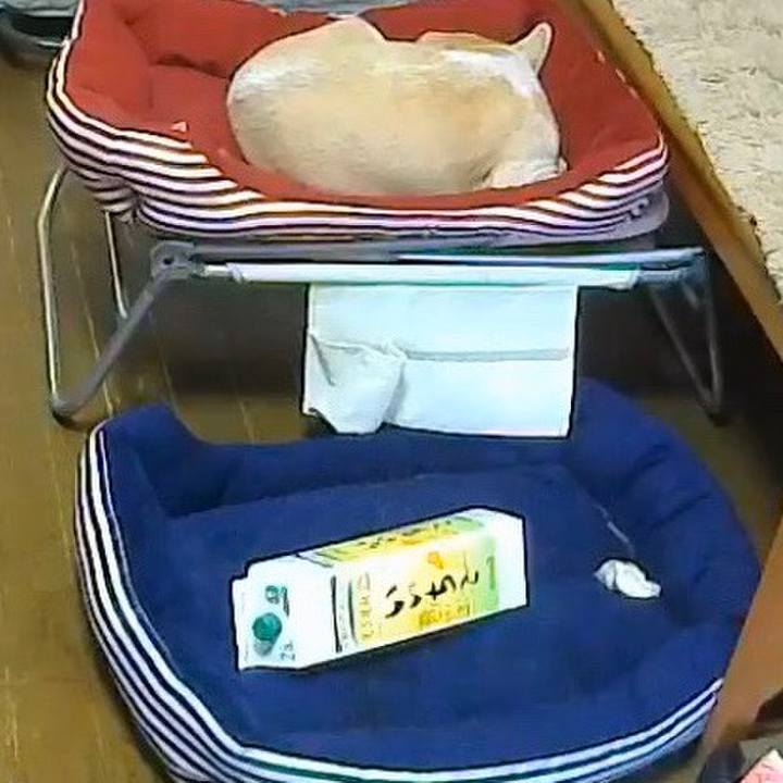 Adb8a38f 887c 4921 a47c 036dc51f4daf 1571810282147