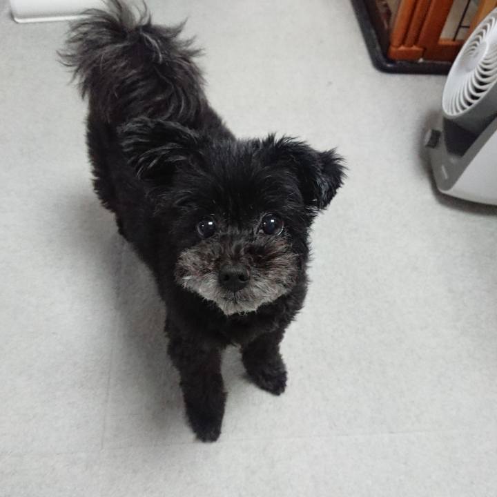 Adb8cf72 2937 4e45 9c7a 3de9402ec73f 1562853480765