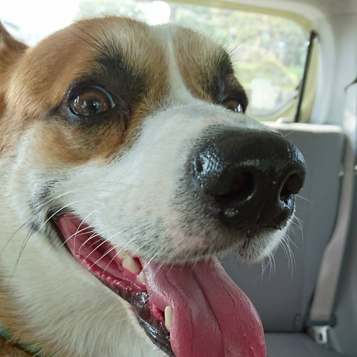 Adb8e3ce d184 433f b03d df3e68e14c6f 1598916534270