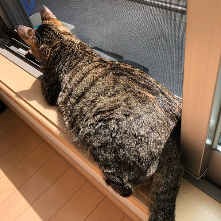 Adb9151b 9c04 462c af4f b4e21973e38c 1521886762241