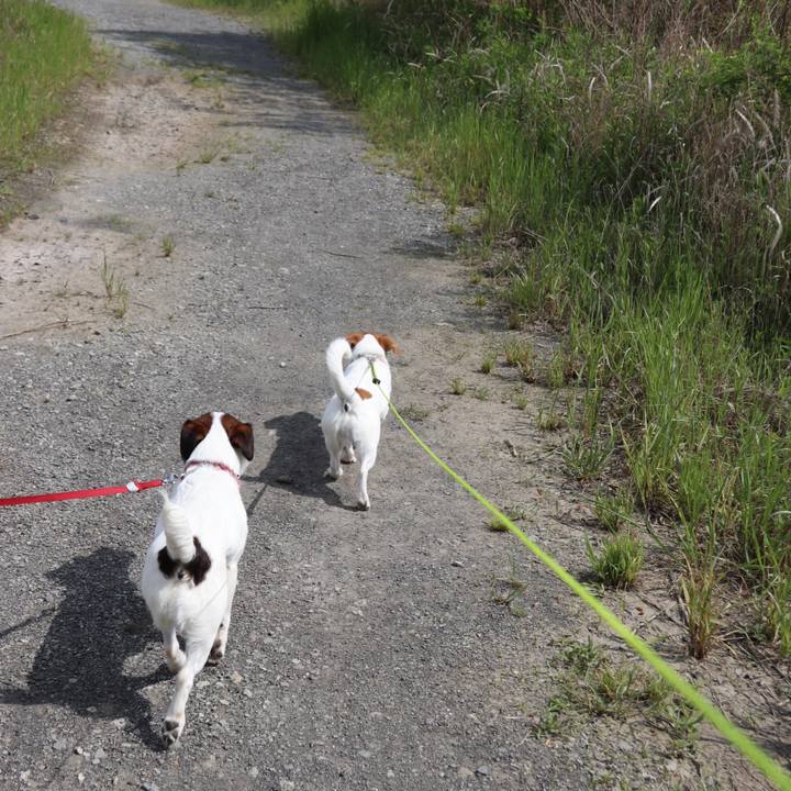 Adb93d5c 04ad 4cbf 9485 c25d294d9528 1525071523600