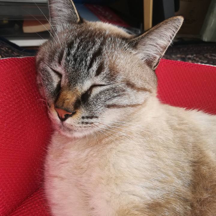 Adb93dda a735 4021 8362 cd4770325d8b 1570329834564