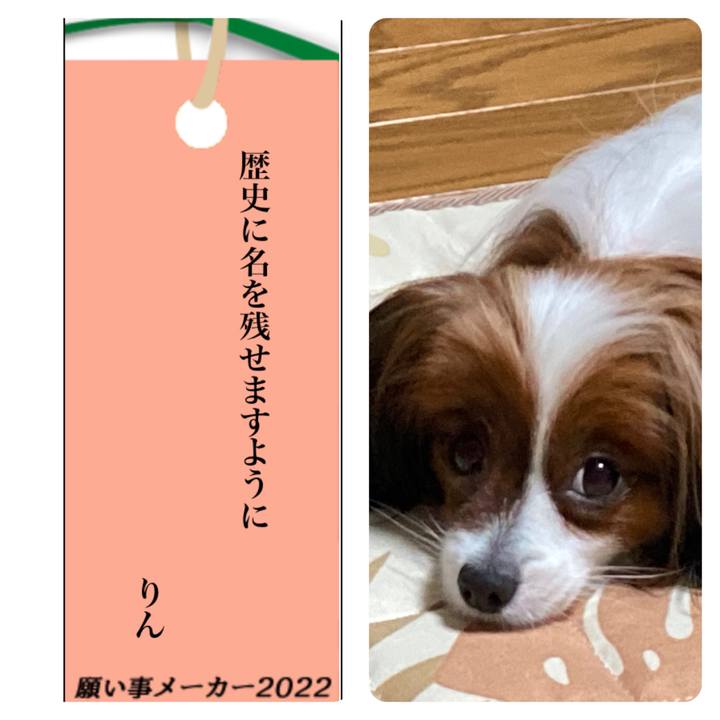 Adb9c66e 9f50 420e a466 1b958be889ea 1657261083964