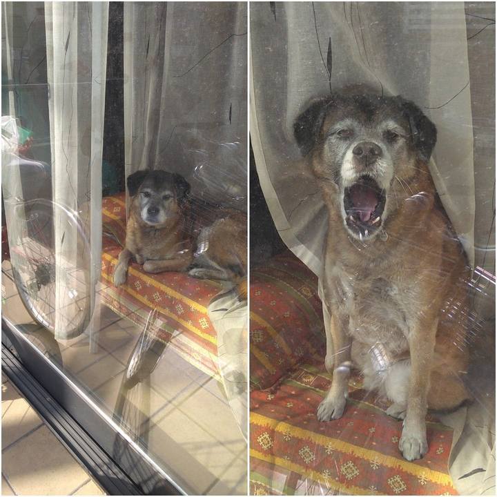 Adb9c70c 536e 45d3 8091 9a35610658d5 1548390971342