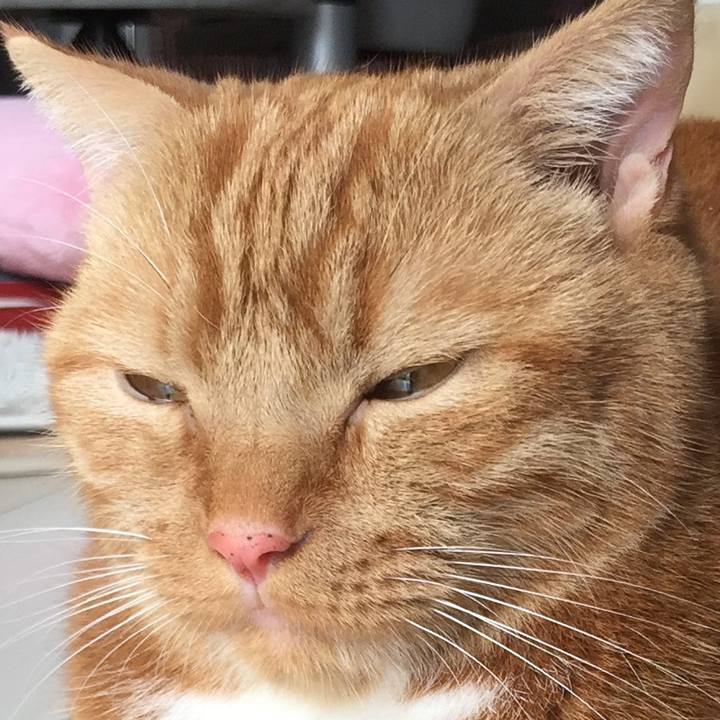 Adb9e60e a99c 4e03 938c 13128a286d98 1566021804183