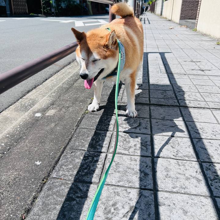 Adba1ef0 0b8d 495c 96f6 42085ce19e71 1727318210103