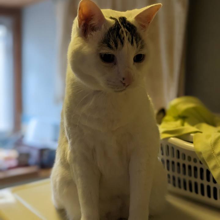 Adba3d38 7cee 4e37 bafe 2e92edeeb00e 1688981534900