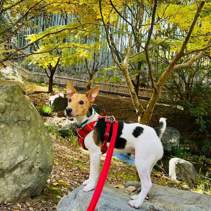 Adba5178 0227 4a18 a6bc cbd97001e4e9 1763909371930