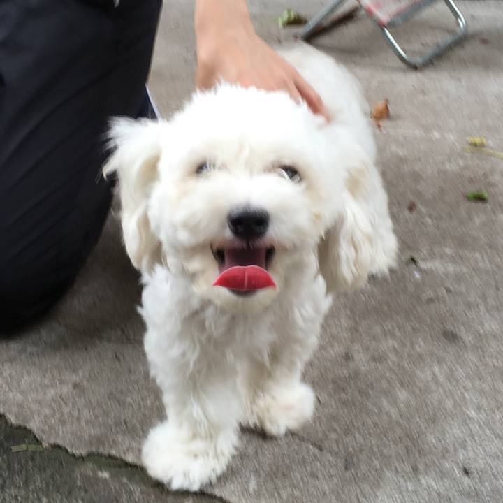 Adba752a 9d01 4bc6 b374 dbe32fbea6dc 1528101347253