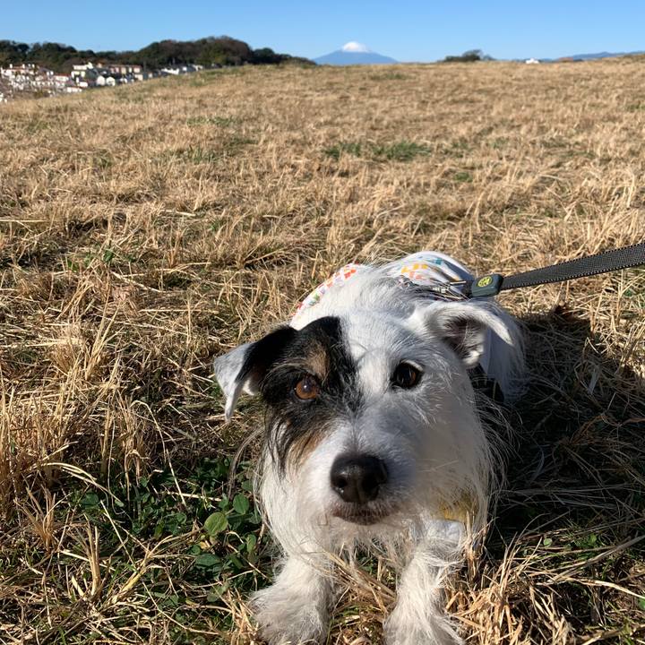 Adba8360 aaf3 4c0b 90b3 c4c9157d86d6 1702775761561