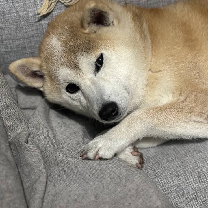 Adba931b ccdf 46ed 90ba 55390d4066ec 1744233395524