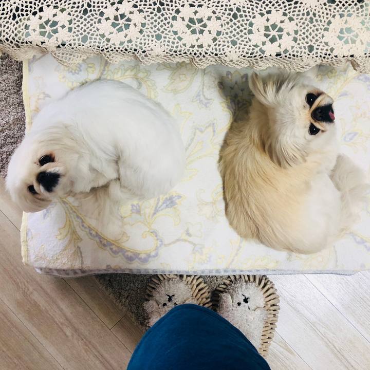 Adbaa3bd 3063 4330 a49f 78c9f3266861 1587538507239