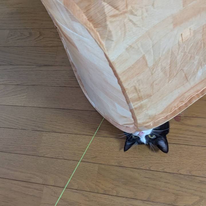 Adbaae82 ae0e 45f1 8731 65488c4c31de 1747979837253