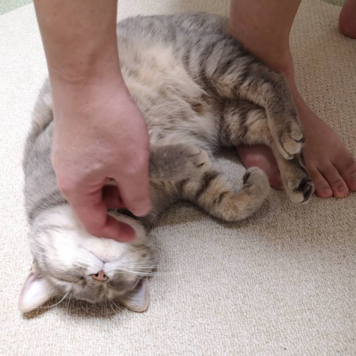 Adbac7b5 e550 4ae5 8216 f6f1b241eb72 1589299626958