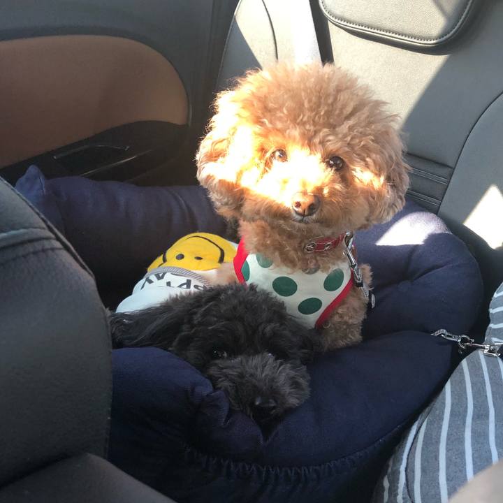 Adbadc7f c111 4179 8869 fb3215e8e5db 1611231894006