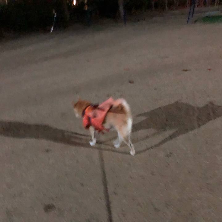 Adbadf96 a6a1 439d a90b 5d15fa9ef33f 1577451365597