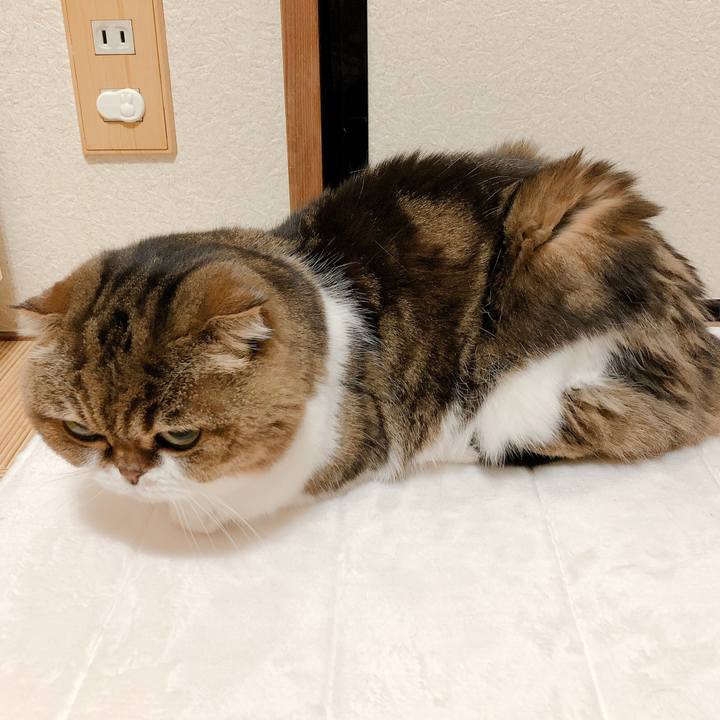 Adbb0a39 bbde 47b3 acd3 665624fd732a 1584329666883