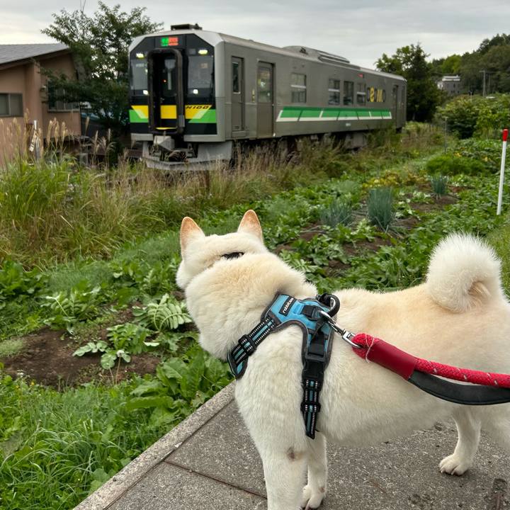 Adbb26cb 8e3d 4f07 81f9 569e82dd3ab3 1726954015310