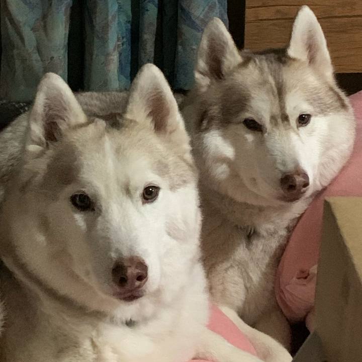 Adbb314e 9060 4ae4 b68b 88bc0bb9b302 1679475218318