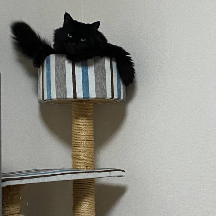 Adbb3d8b 3210 42da ac01 3ab39d7d1fae 1612870927744