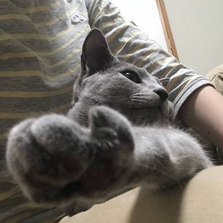 Adbb74a3 bf4f 4394 ab9b b1dbe48fbbf0 1522661170917