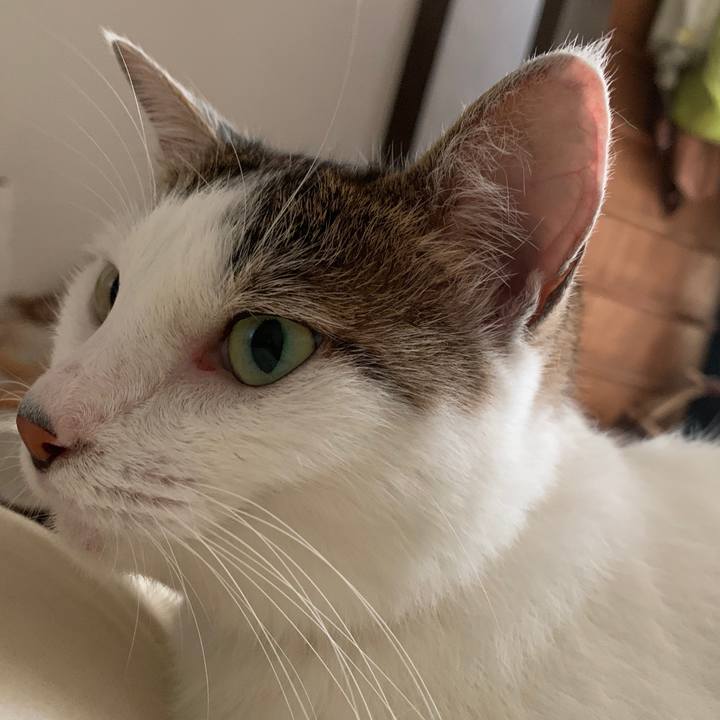 Adbb82c3 b822 4bfd bd64 7f14e1e15851 1598933032692