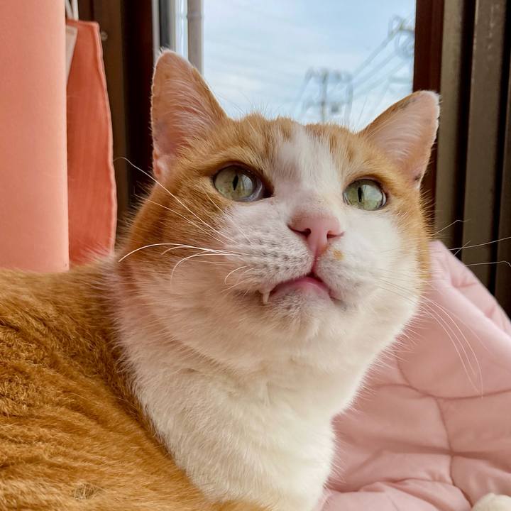 Adbbc843 7d54 451a 97e5 c53805bfb2a4 1648336221797