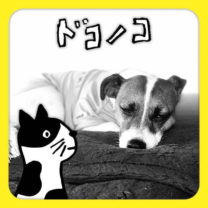 Adbbe031 1c20 45ab bbb1 92803200db98 1623941076682