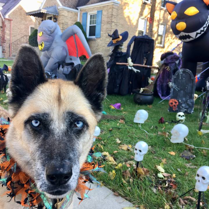 Adbc2b0d 4de8 4cd7 86b4 ea7330310d4f 1540858594501