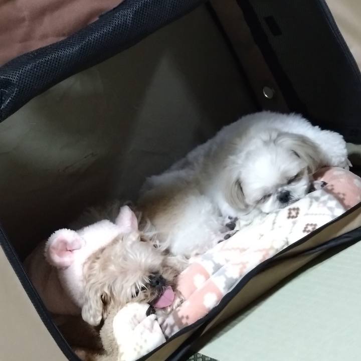 Adbc3b7a 05cc 43a7 bee9 8a7b77d85059 1708168065611