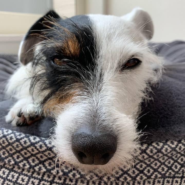 Adbc5950 2df9 41ce 97a8 a43a6f7d08a9 1589518038466