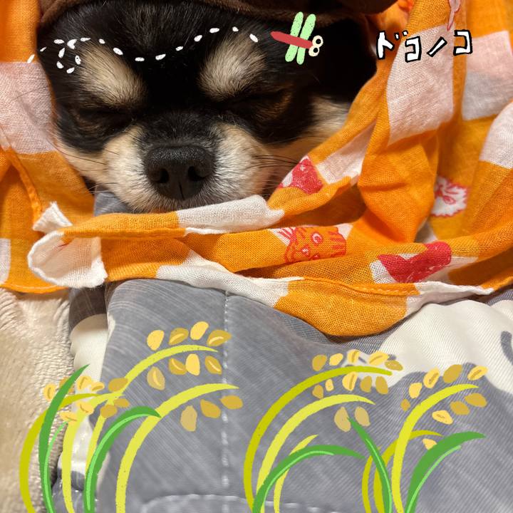 Adbc6c50 f634 46e3 b11b 1f59c3be5950 1761269451510