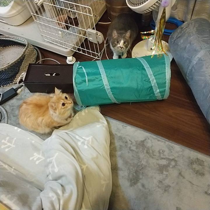 Adbd0182 93e8 4df7 9af5 095ce5cd3f99 1642630568577