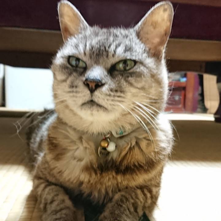 Adbd0cf8 e988 4232 bef3 80db87c8f816 1566469487651